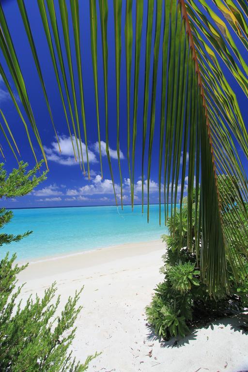 Relax Residence Thoddoo Maldives Extérieur photo